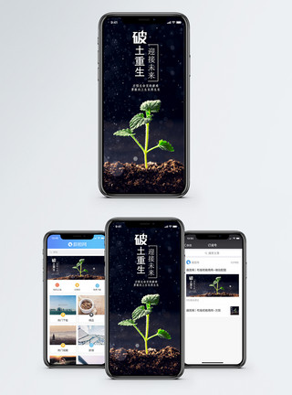 植物小草破土重生手机海报配图模板