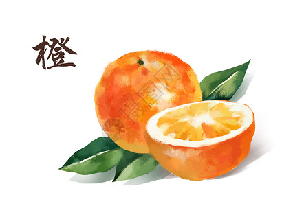 红色西柚水果香橙插画