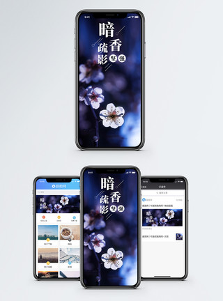 美丽梅花梅花手机海报配图模板