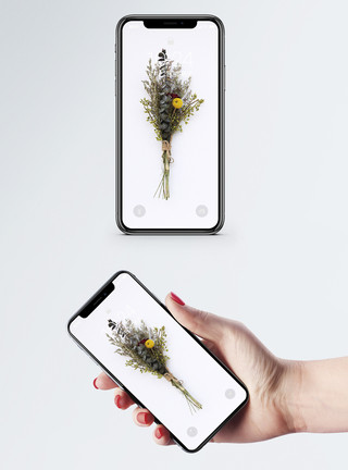 简约春分海报小清新花卉手机壁纸模板