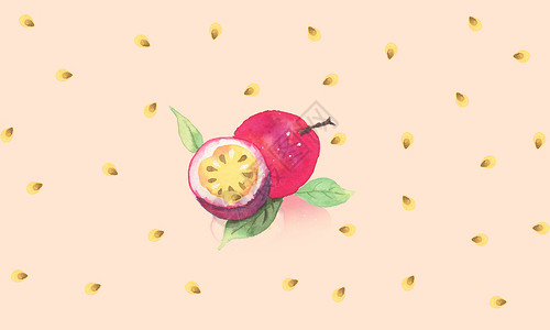 红百香果手绘水果背景插画