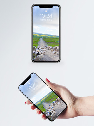 大草原羊群青藏公路手机壁纸模板