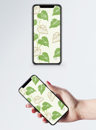 叶子叶脉绿色叶脉手机壁纸模板