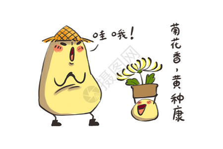 小土豆卡通形象重阳节赏菊配图图片