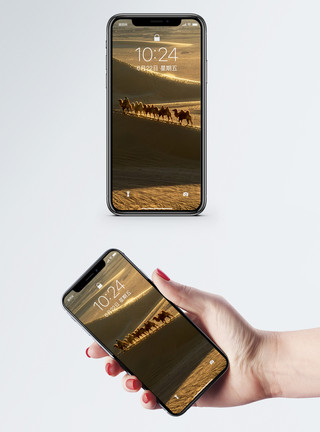 高清骆驼素材巴丹吉林沙漠手机壁纸模板