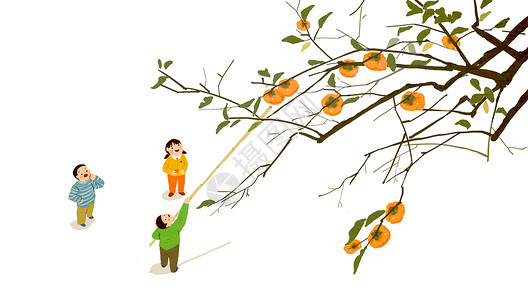 柿子树素材寒露插画