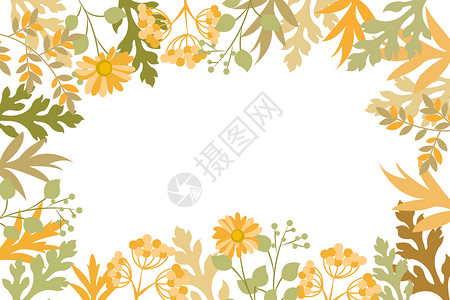 秋天植物花卉背景背景图片