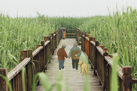 重阳木木桥上老人散步插画