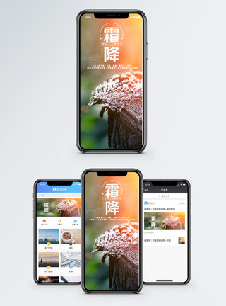 霜降节气霜降手机海报配图模板