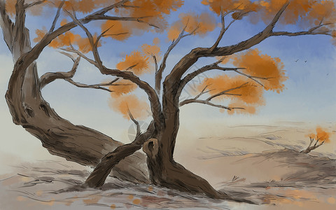 金黄五瓣叶秋天的树木插画