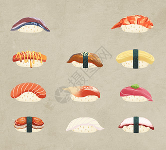 海鲜素材打包寿司图鉴-握寿司插画