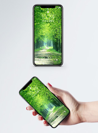 小清新树林绿色树林手机壁纸模板