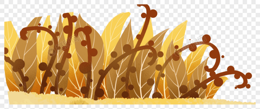 秋天植物装饰图片