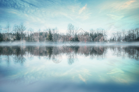 高大树木湖梦幻湖水场景设计图片