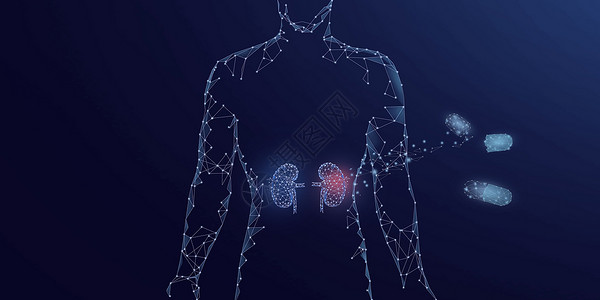 人体器官肾脏药物治疗设计图片