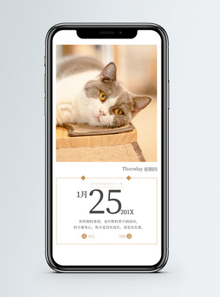 猫咪图片免费下载每日一签手机海报配图模板