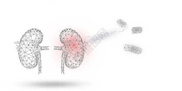 肾好肾脏疾病治疗设计图片