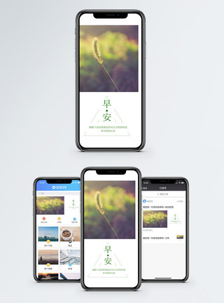 狗尾草素材早安手机海报配图模板