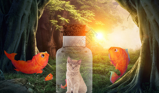 搞笑猫观金鱼微观世界设计图片