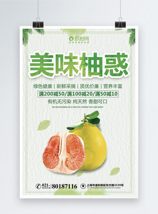 柚子采摘新鲜柚子促销海报模板