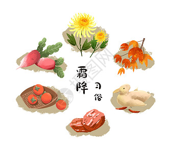 牛肉炖柿子霜降习俗插画