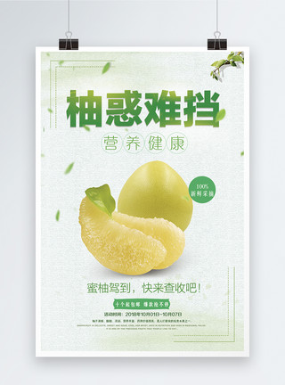 柚子宣传海报柚子促销海报模板