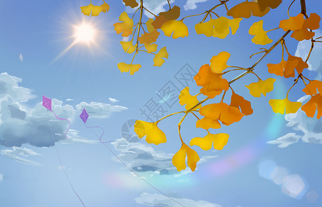 秋日阳光下的银杏背景图片