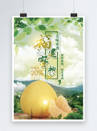 蜜蜂剪贴画清新柚子宣传海报模板