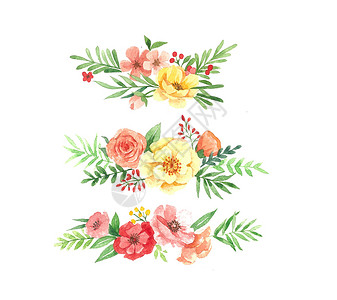 边框数字透明水彩花卉边框插画