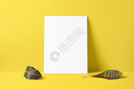 蜗牛与黄鹂鸟现代挂画样机设计图片