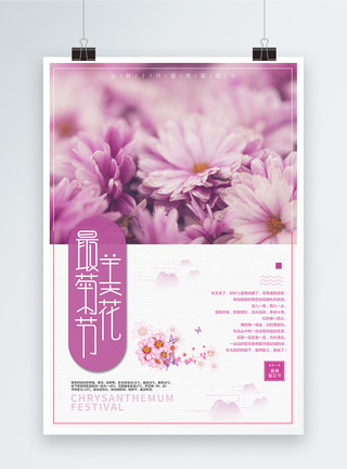 紫色的菊花赏菊花节海报模板