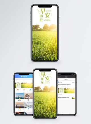 阳光田野早安你好手机海报配图模板