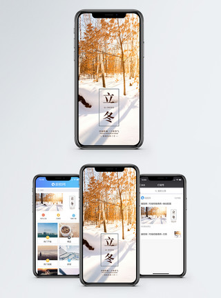 冬天树林背景立冬手机海报配图模板
