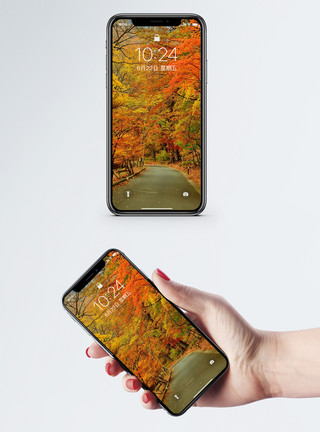 秋天色彩秋天的小路手机壁纸模板