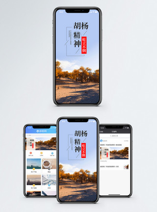 金塔胡杨胡杨精神手机海报配图模板