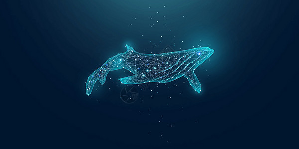海洋鲸鱼背景图片