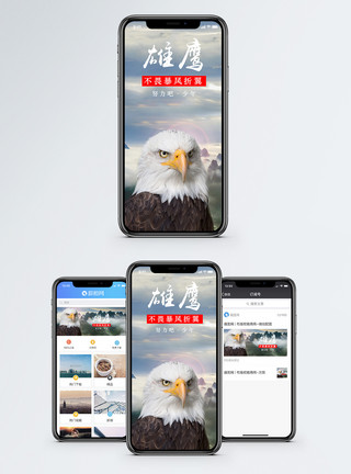 不为暴风雄鹰手机海报配图鹰模板