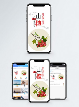 季节性食物山楂手机海报配图模板