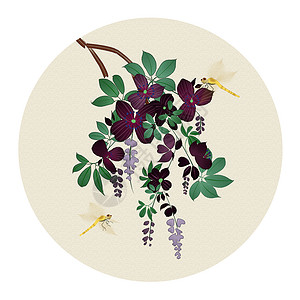 紫叶酢浆草中国风花卉插画
