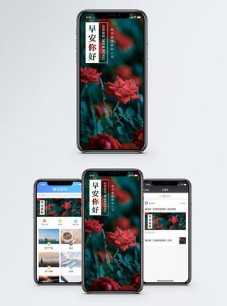 红月季花早安你好手机海报配图模板
