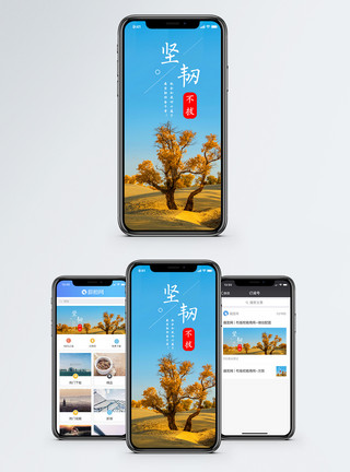 沙漠树木坚韧不拔手机海报配图模板