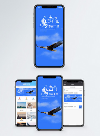 鹰翱翔鹰击长空手机海报配图模板