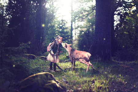 与小鹿玩耍梦幻森林设计图片