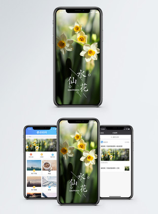 绿植鲜花水仙花手机海报配图模板