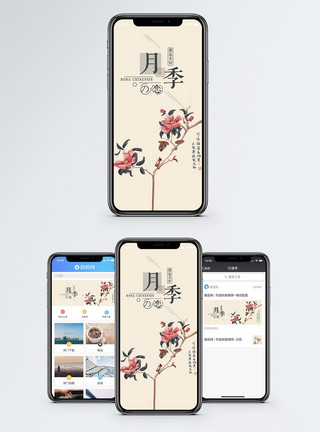 妩媚月季花月季花手机海报配图模板