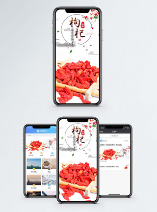 部枸杞手机海报配图模板