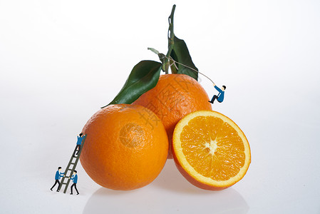 切橙子男人攀登上橙子的男人插画