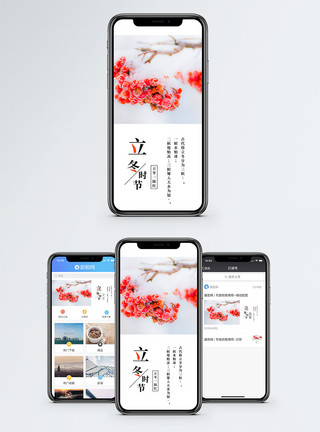 冬天立冬手机海报配图模板