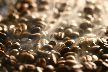 豆类摆盘咖啡豆设计图片