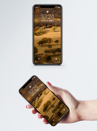 五彩斑斓的草原秋色内蒙古坝上手机壁纸模板